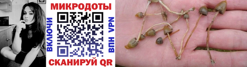 Псилоцибиновые грибы мухоморы  Белозерск 